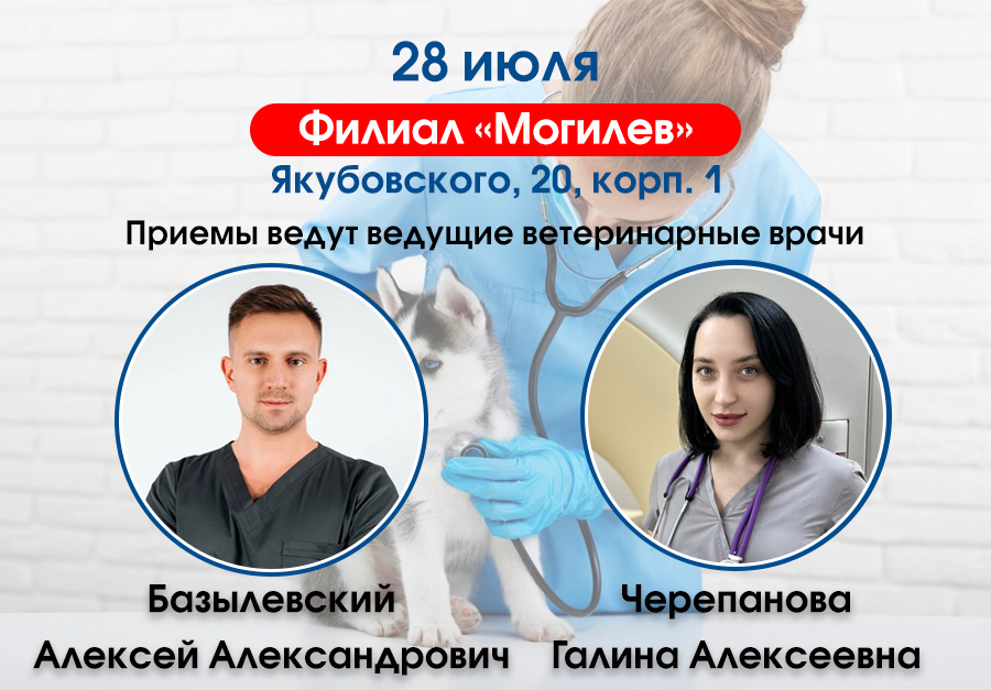 Приемы ведут ведущие специалисты