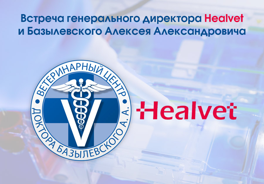 Встреча с директором Healvet