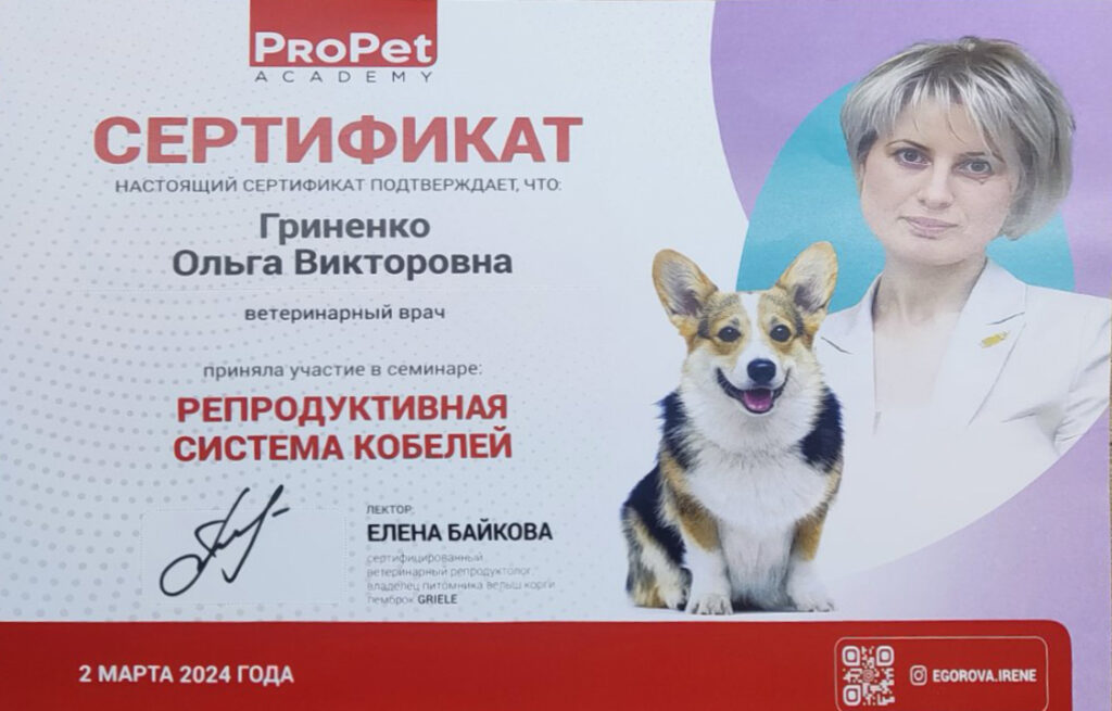reproduktivnaya-sistema-kobeley-1024x655 Гриненко Ольга Викторовна