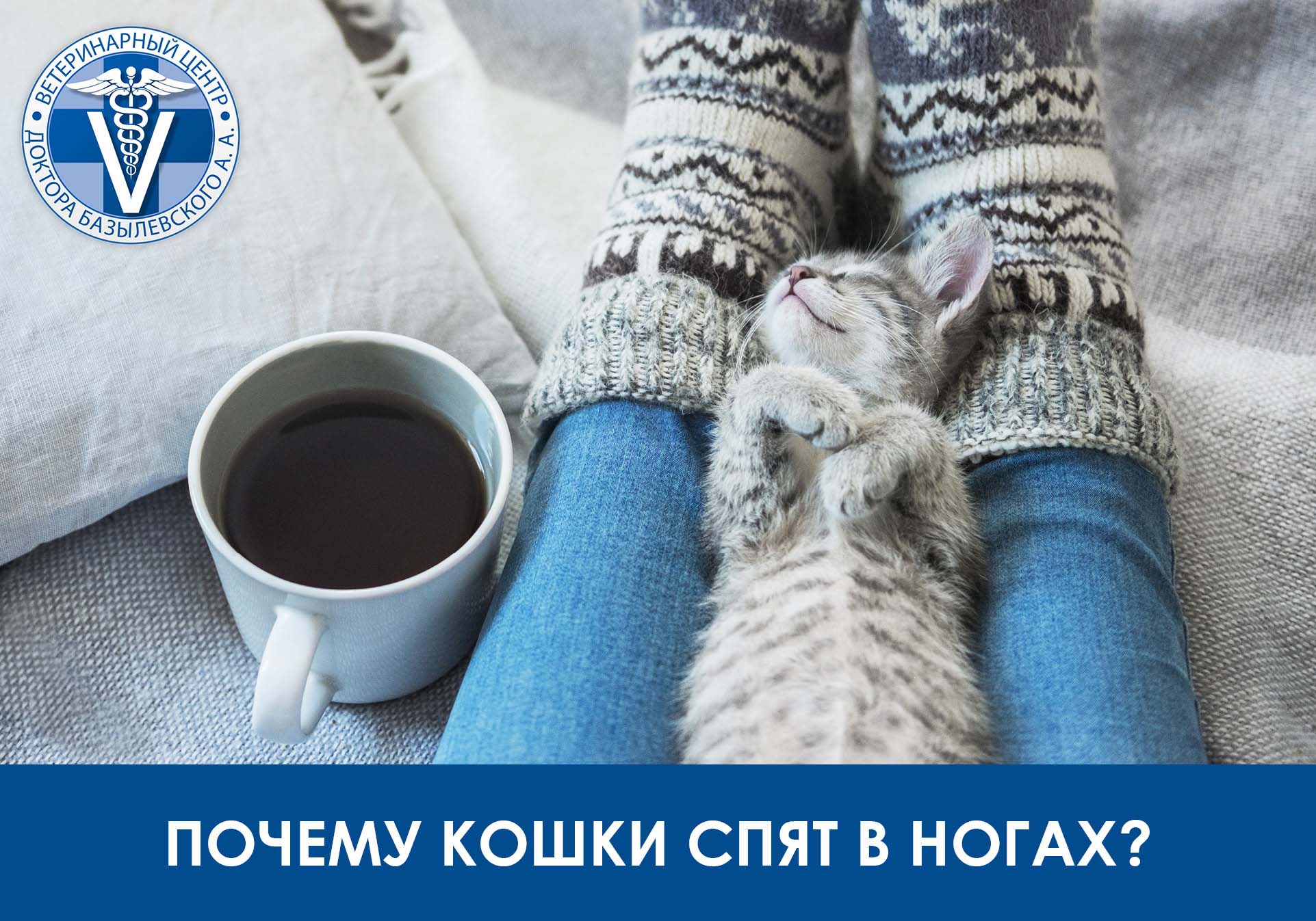 почему кошки спят в ногах