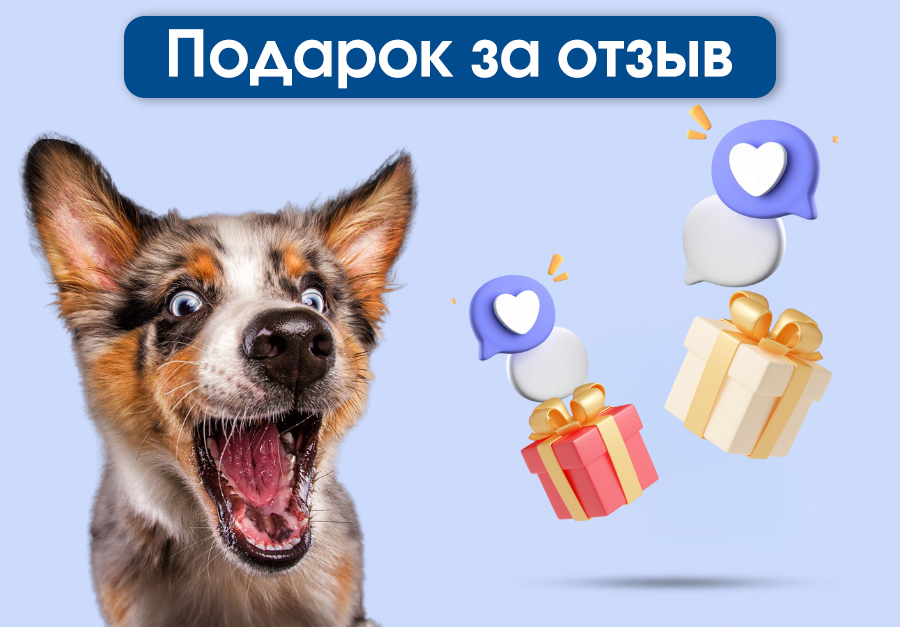 Подарок за отзыв