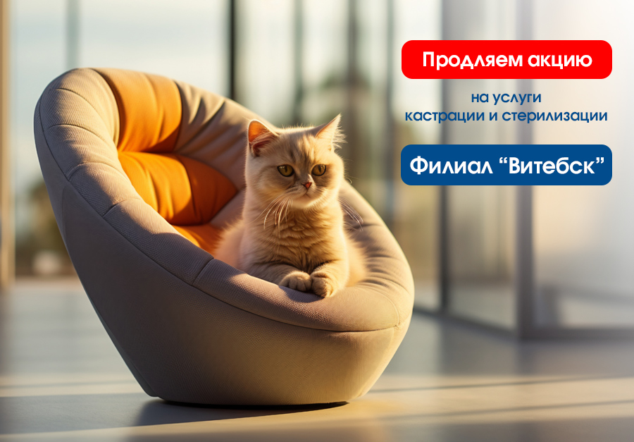 Продление акции