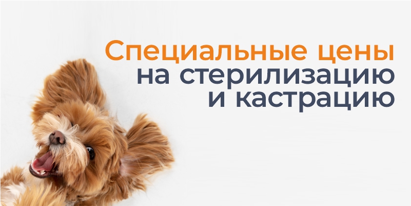 Скидки августа в филиале «Минск-Мельникайте» (ВетПрофи)