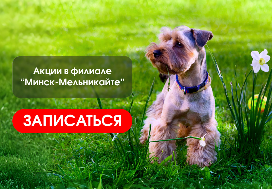 акции августа минск-мельникайте