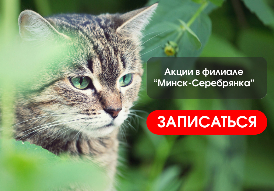 акции августа Минск-Серебрянка