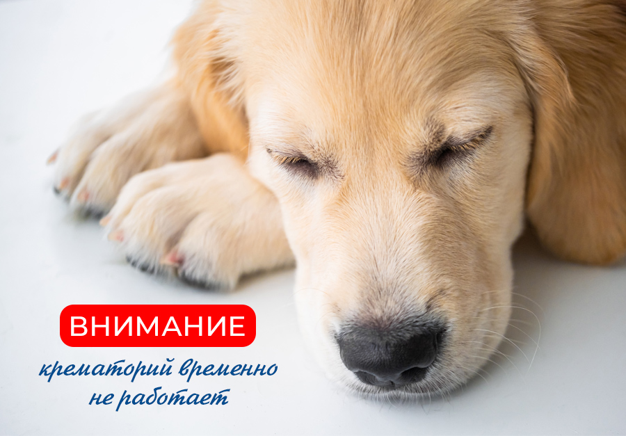 Крематорий не работает